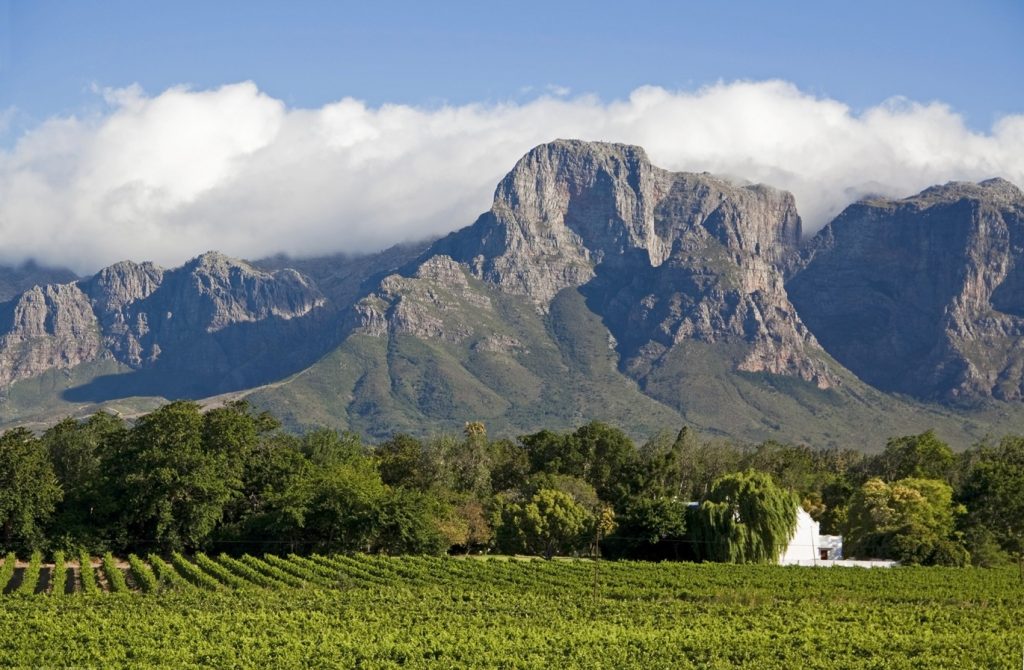 WINELANDS